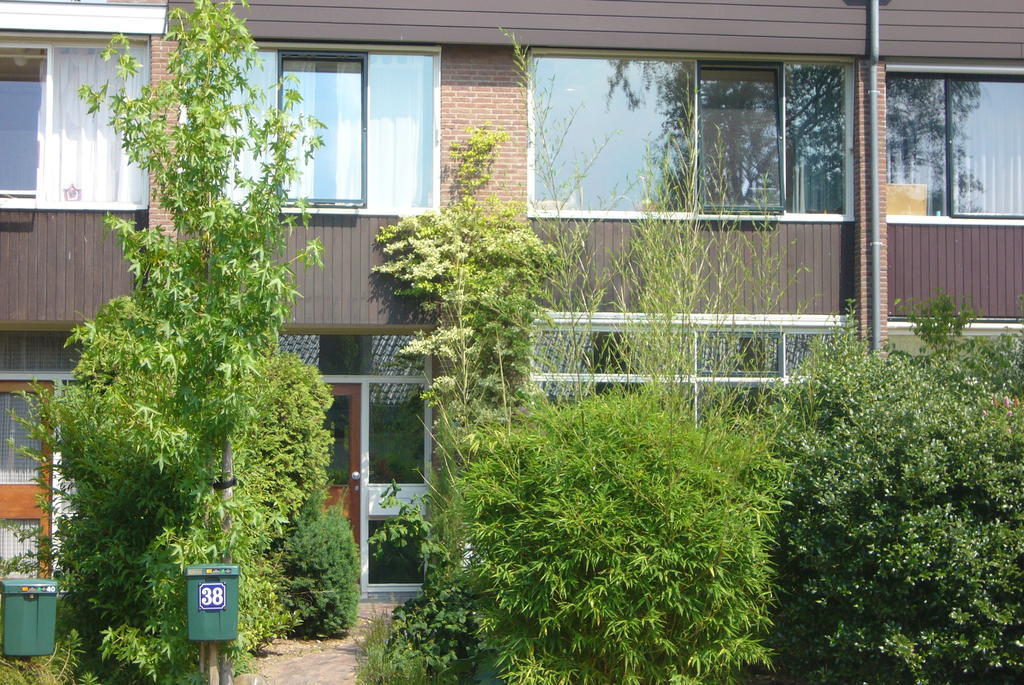B&B Heijendaal Nijmegen Oda fotoğraf